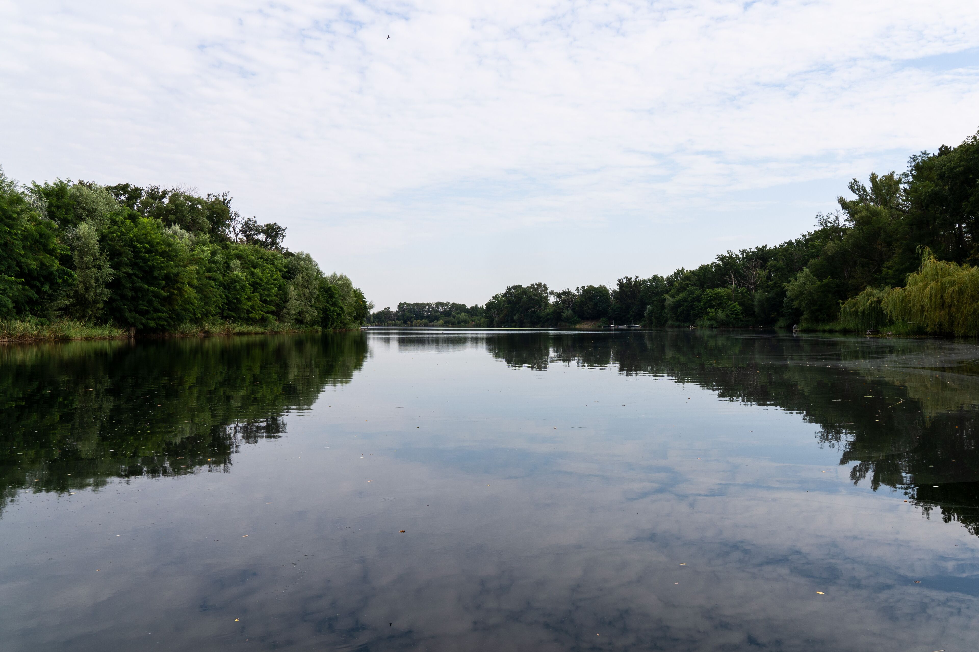 A calm river with dense greenery on both sides.