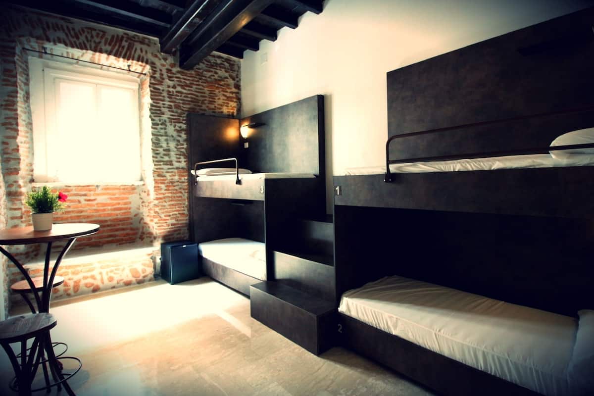 A modern room with bunk beds, a small table with a potted plant, and a window with a view of a brick wall.