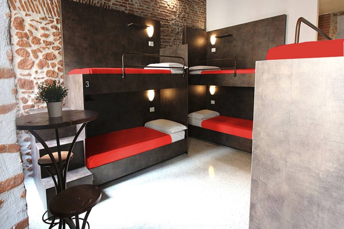 A room with bunk beds, a small table, and a potted plant.