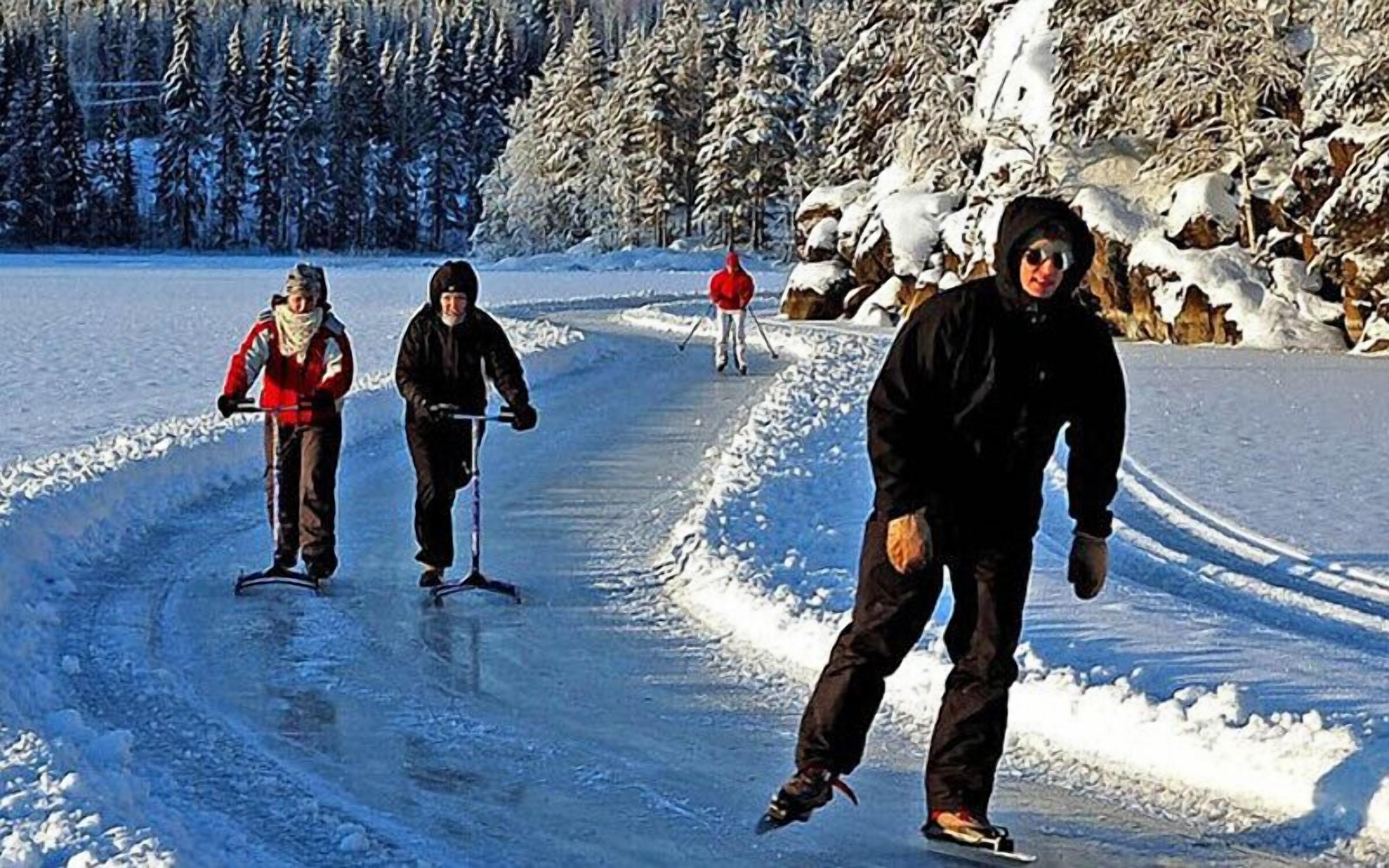 Un gruppo di persone pratica sci di fondo su un sentiero innevato, con alberi sullo sfondo.