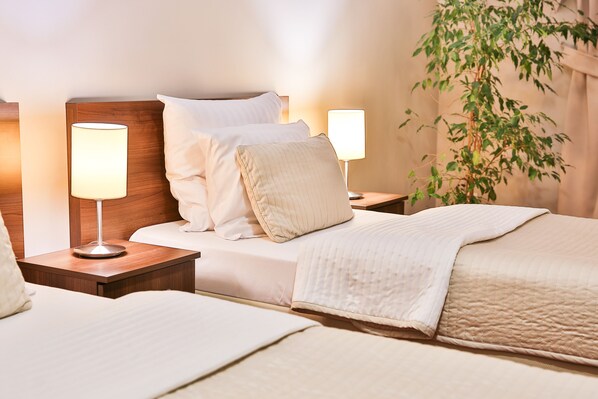 Comfort Double Room | Extra beds