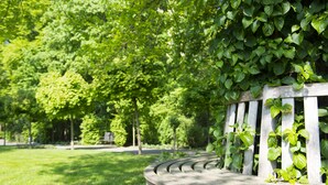 A curved wooden bench with climbing plants in a park. - Haus Mariengrund (Münster)