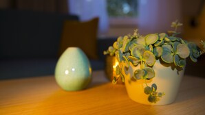 A table with two ceramic vases, one with a plant and the other empty. - Haus Mariengrund (Münster)