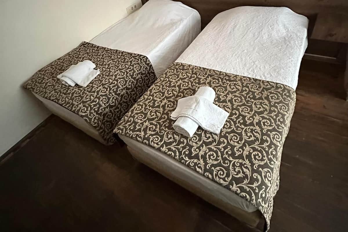 Twin kamer | 2 slaapkamers, een minibar, een bureau, geluiddichte muren