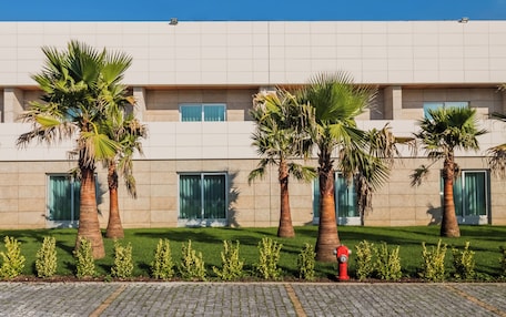 A modern building with a flat roof, multiple windows, and palm trees in the foreground.