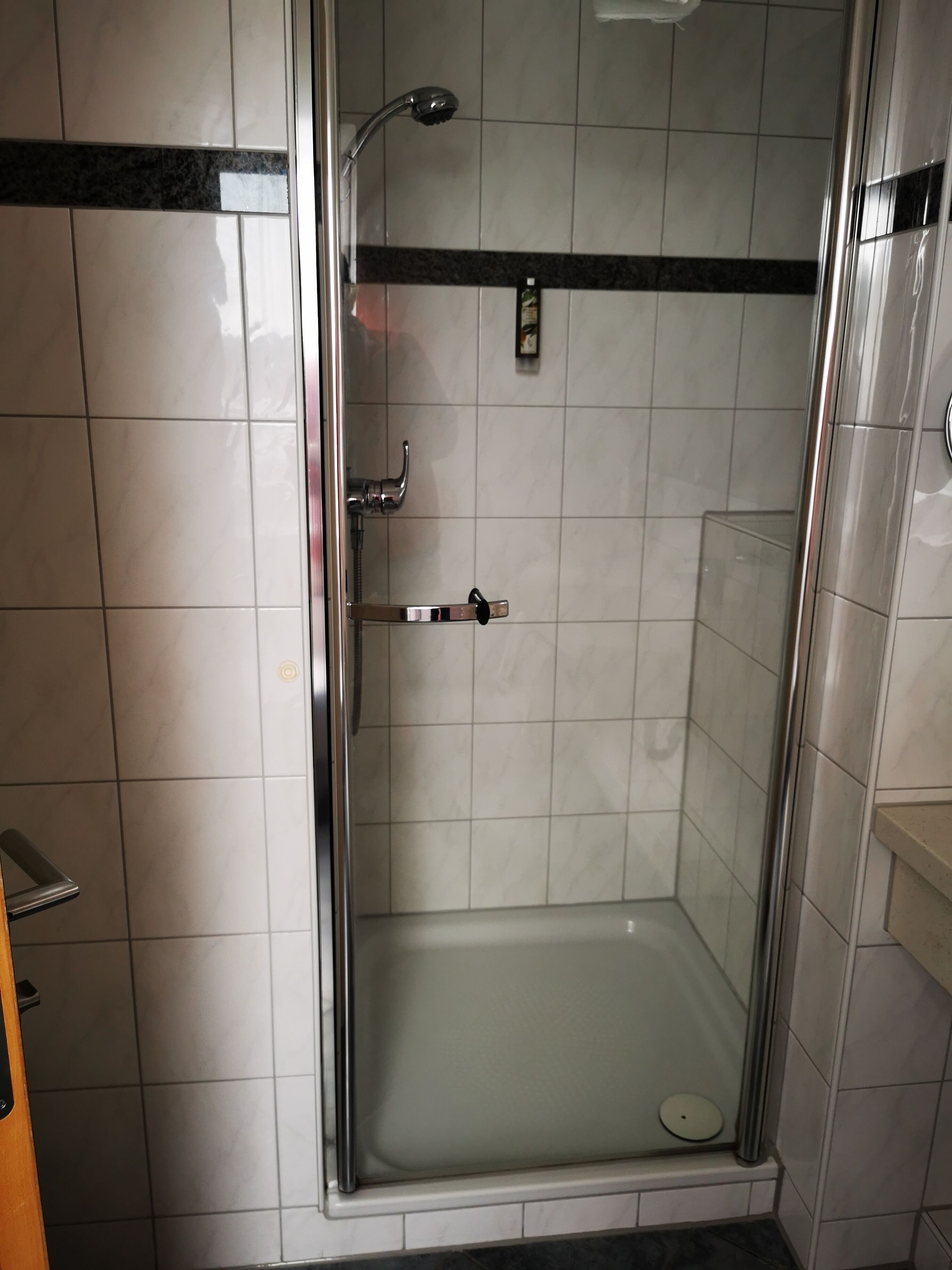 Une cabine de douche fermée par des parois en verre, équipée d’un pommeau de douche à main et d’un robinet mural.