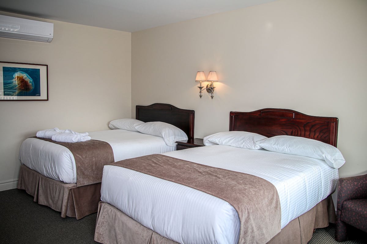 Standard Room, 2 Double Beds | Premium bedding, iron/ironing board, cots/infant beds, rollaway beds
