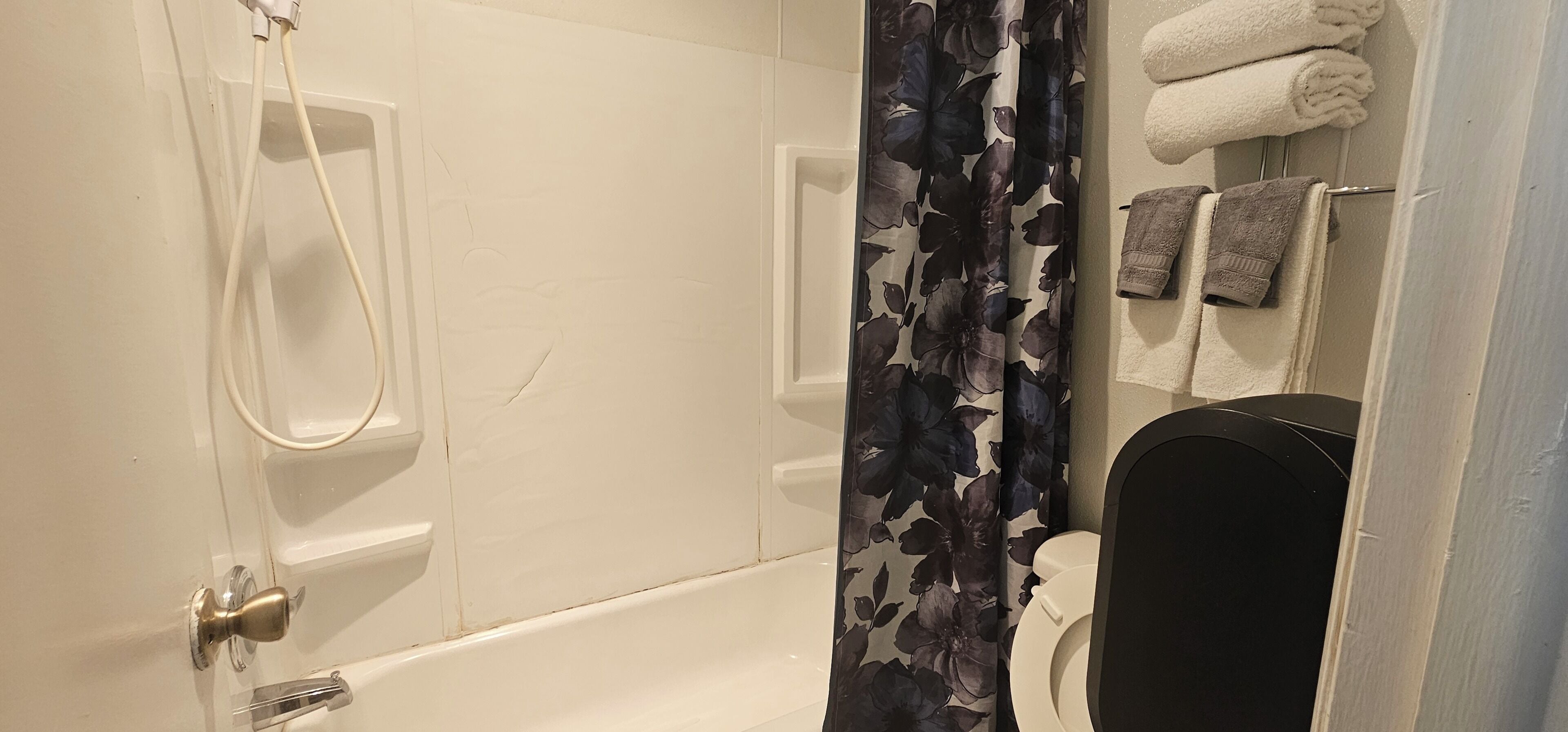 Combined shower/bathtub, deep-soaking bathtub, free toiletries, towels