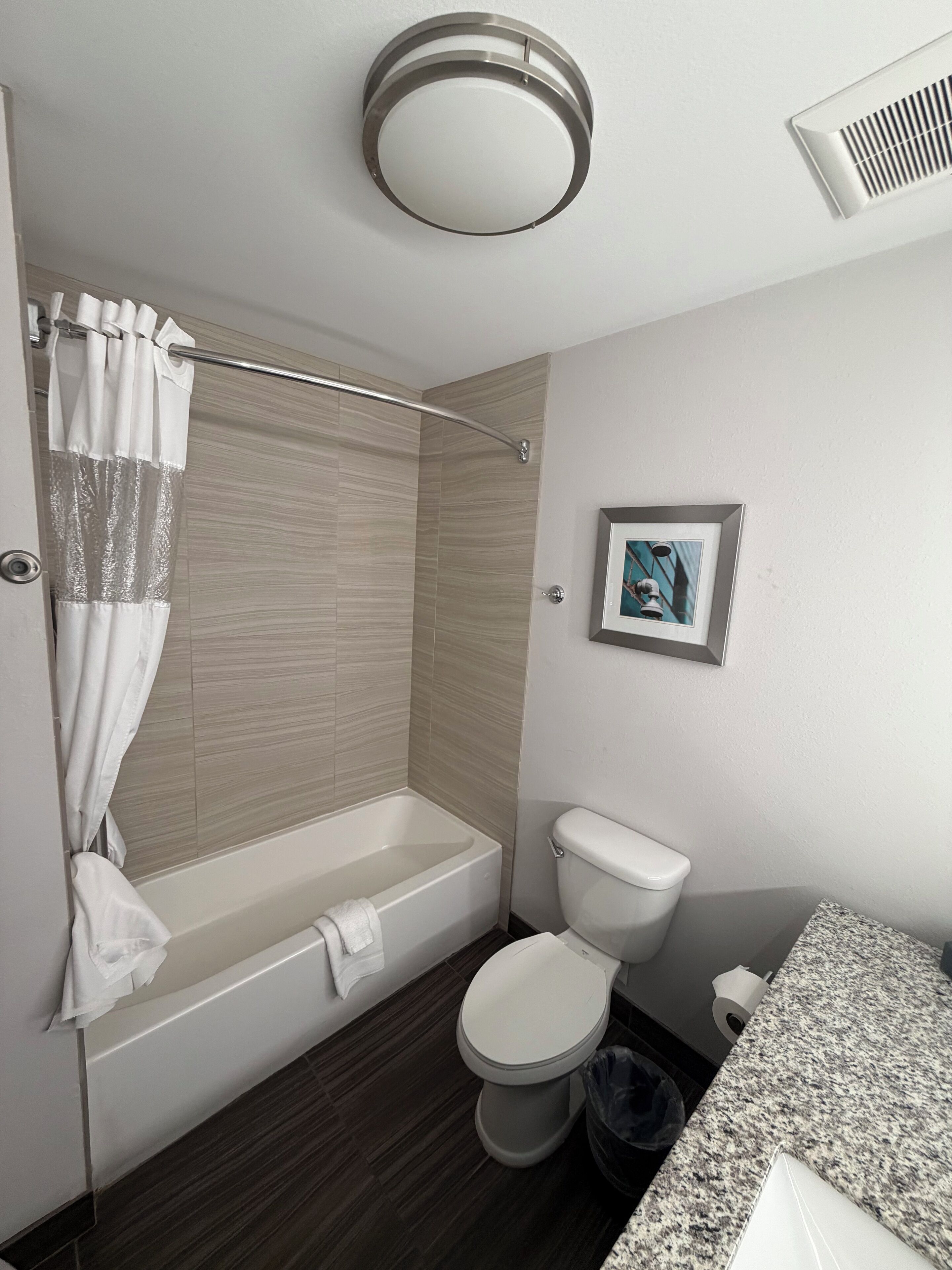 A modern bathroom with a bathtub, toilet, and shower curtain.