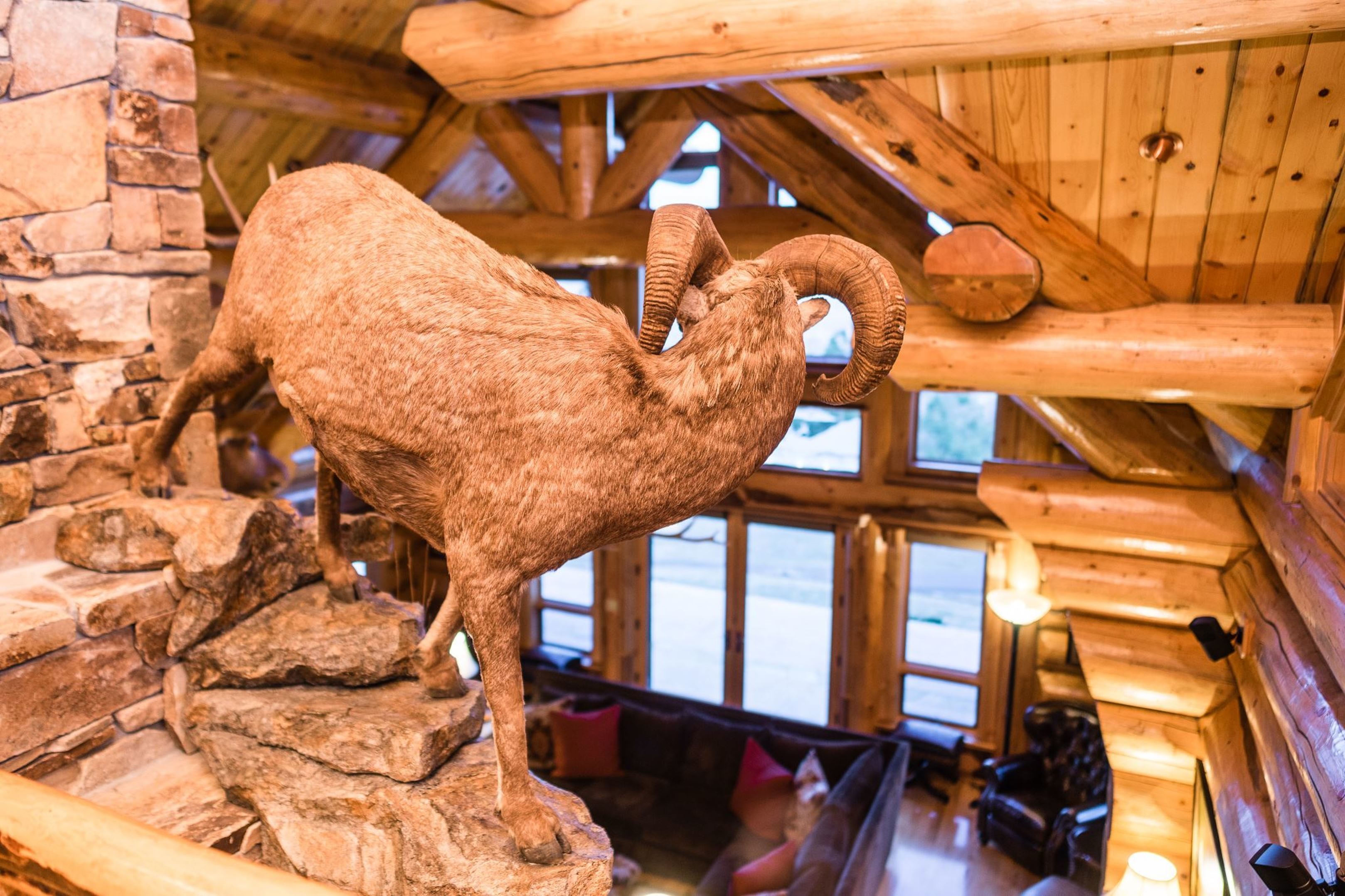 A rustic interior with a stone wall, wooden beams, and a mounted ram sculpture.