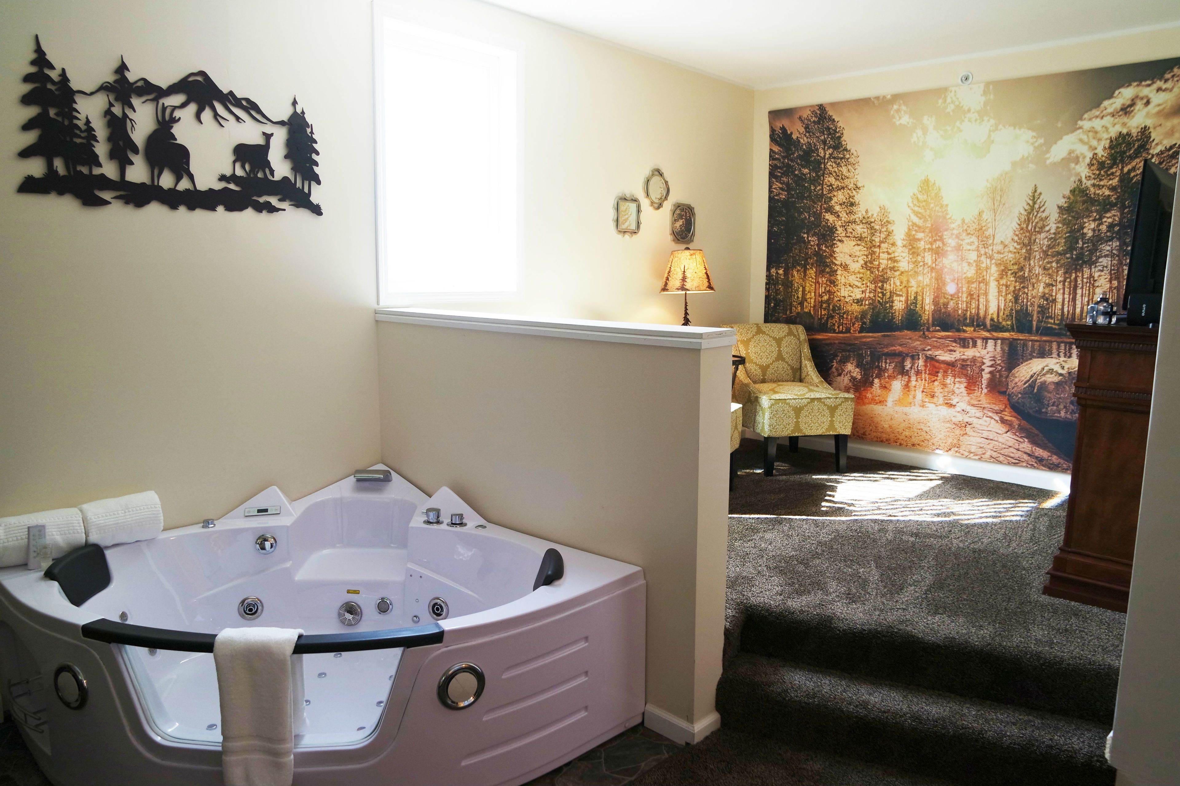 Decoración personalizada, tabla de planchar con plancha y wifi gratis 