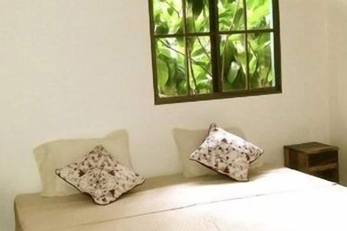 Une chambre à coucher avec un lit, deux oreillers, une fenêtre et une table de chevet.