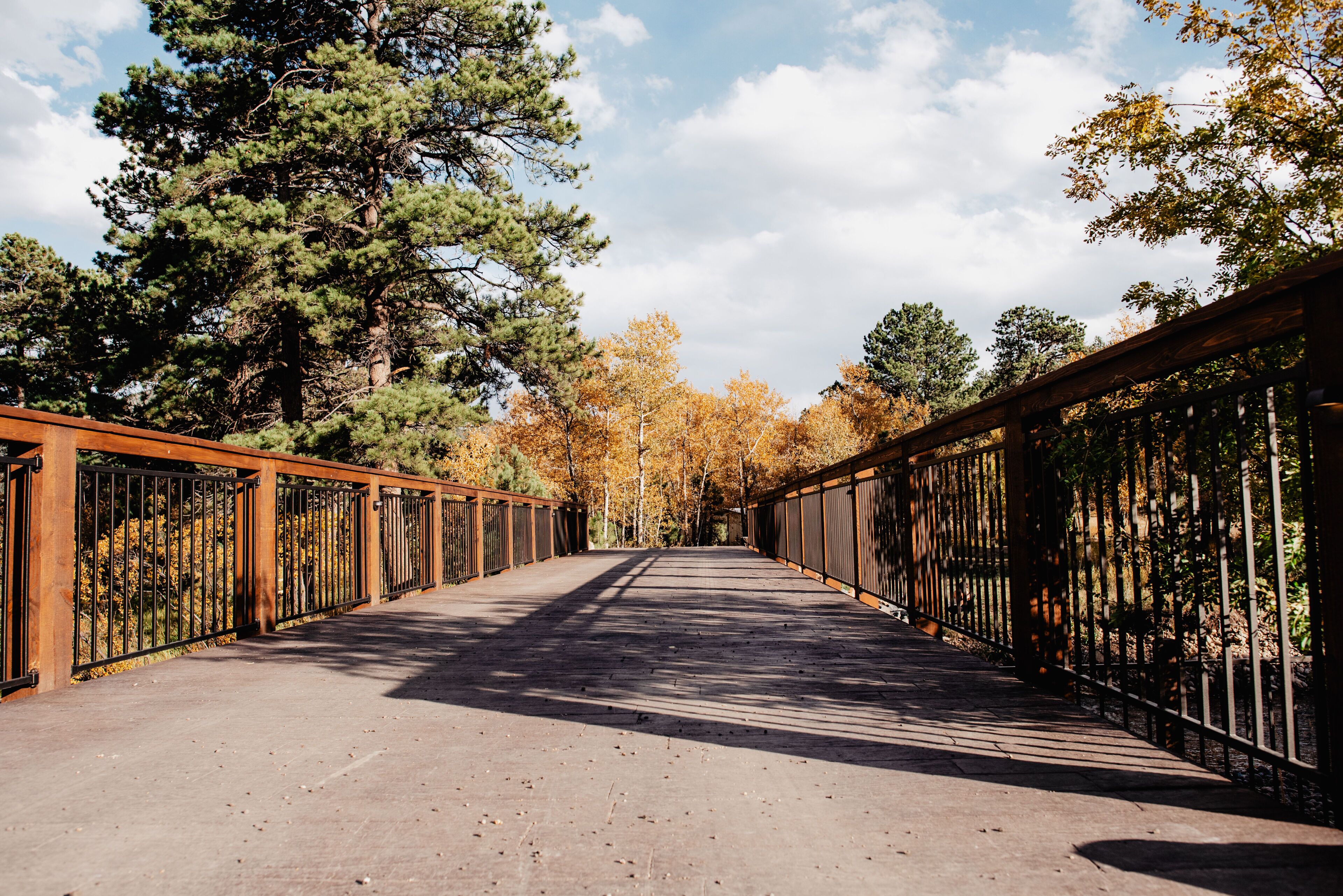A pedestrian bridge with metal railings and a concrete walkway surrounded by trees with autumn foliage.