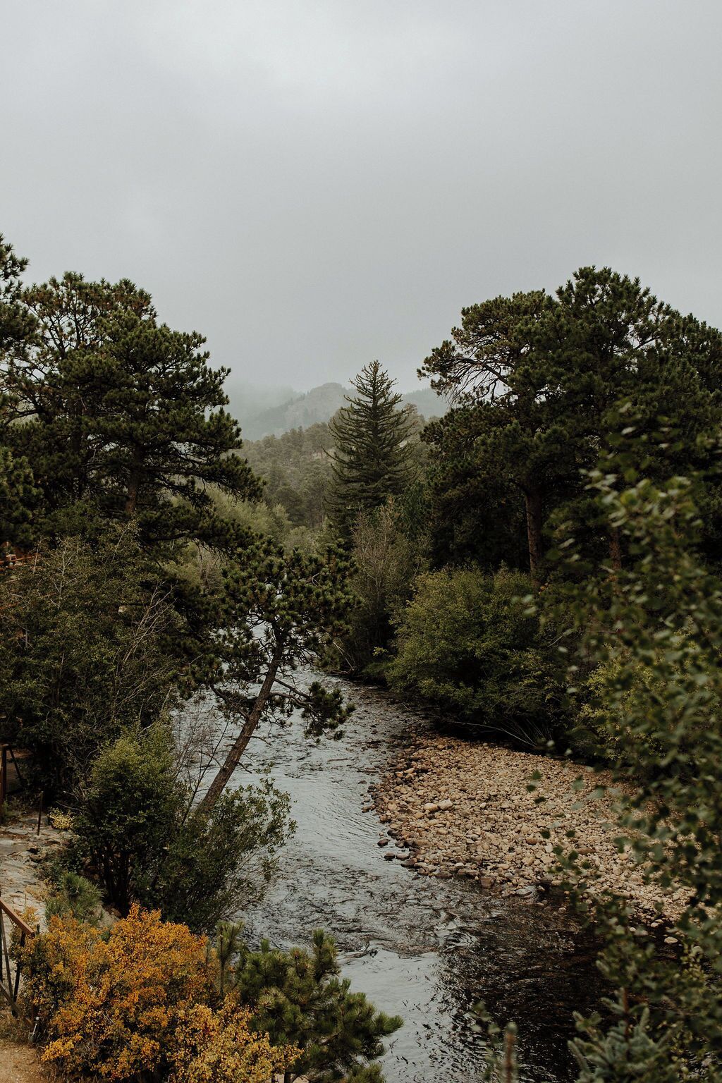 Une rivière qui traverse une zone boisée, avec des arbres et un terrain rocheux.