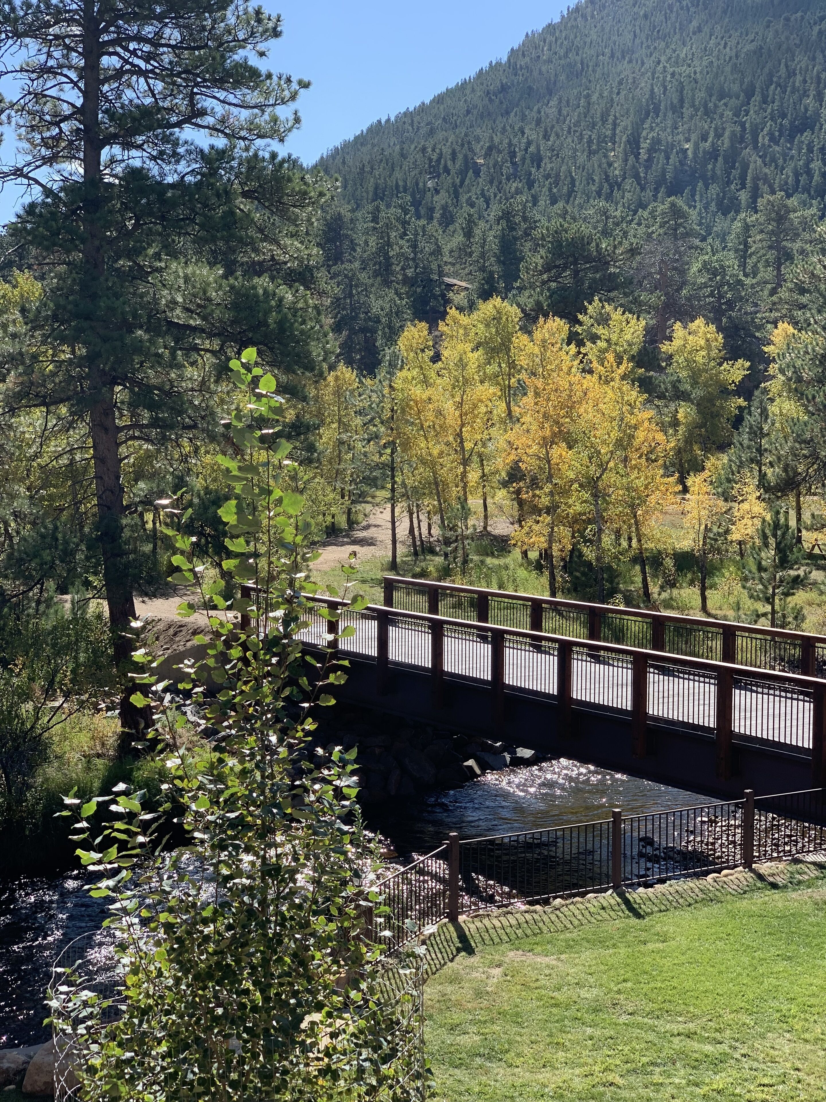 A wooden bridge over a river, surrounded by trees and a mountain in the background.