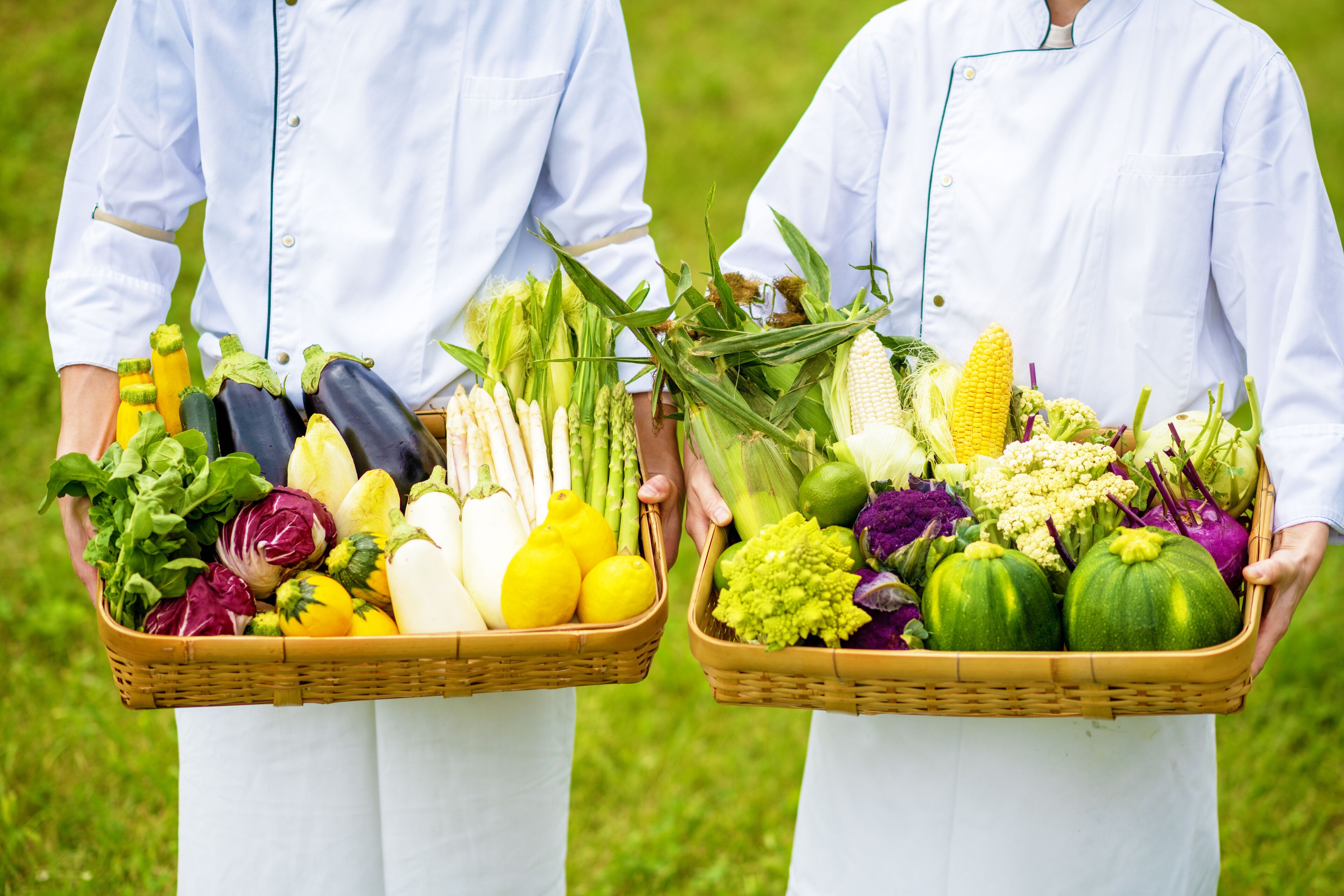 Due persone che tengono cesti pieni di verdure fresche.