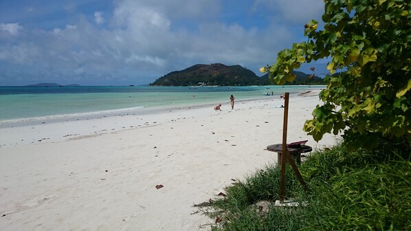 Sporttauchen, Schnorcheln