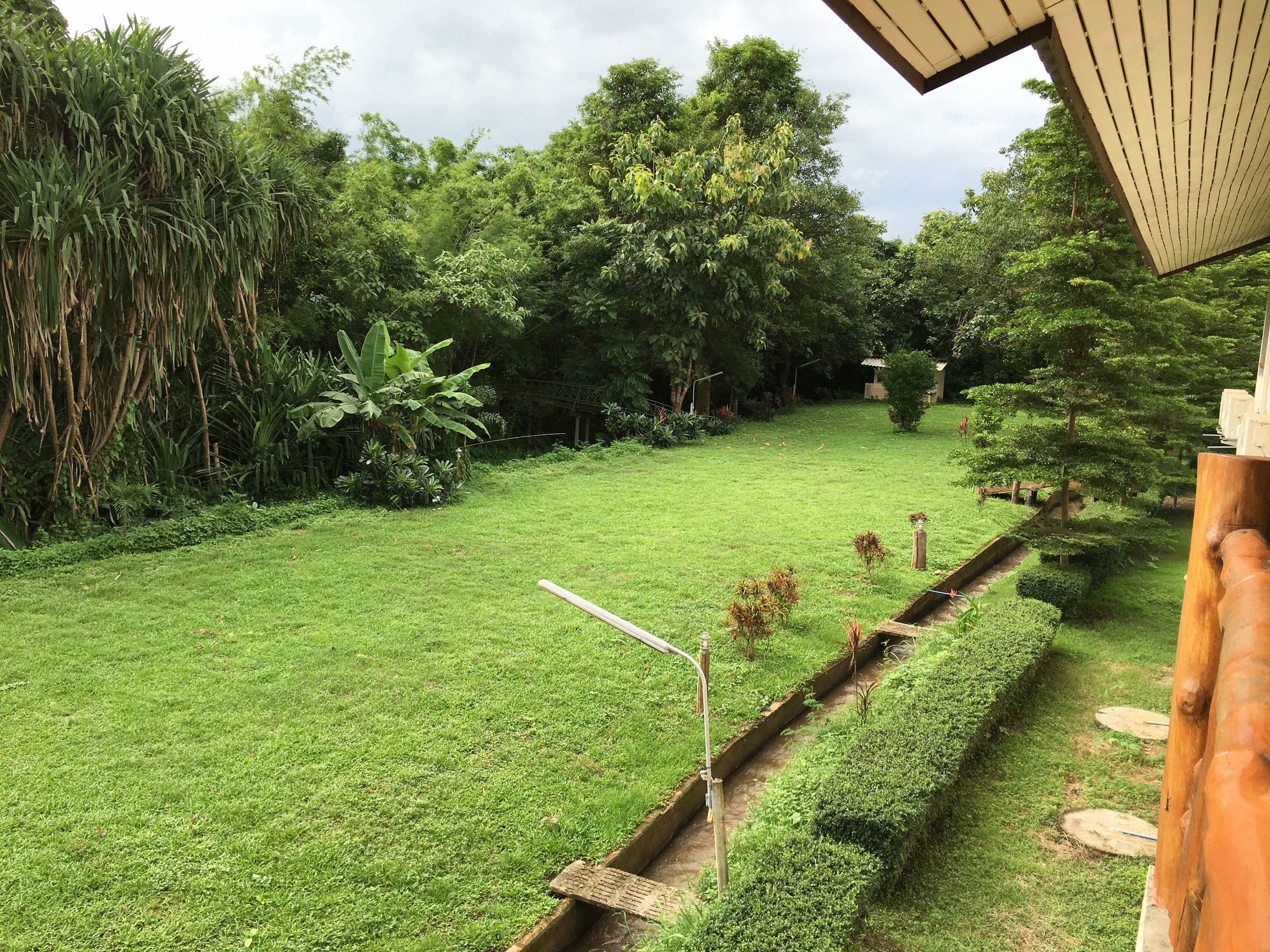 Un jardín cuidado con césped, un sendero estrecho y diversas plantas y árboles.