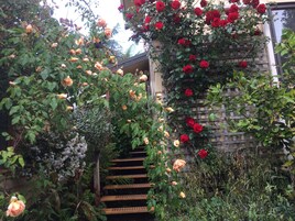 Escadaria de madeira rodeada por vegetação exuberante e plantas floridas, que conduz a um edifício com parede de tijolos.