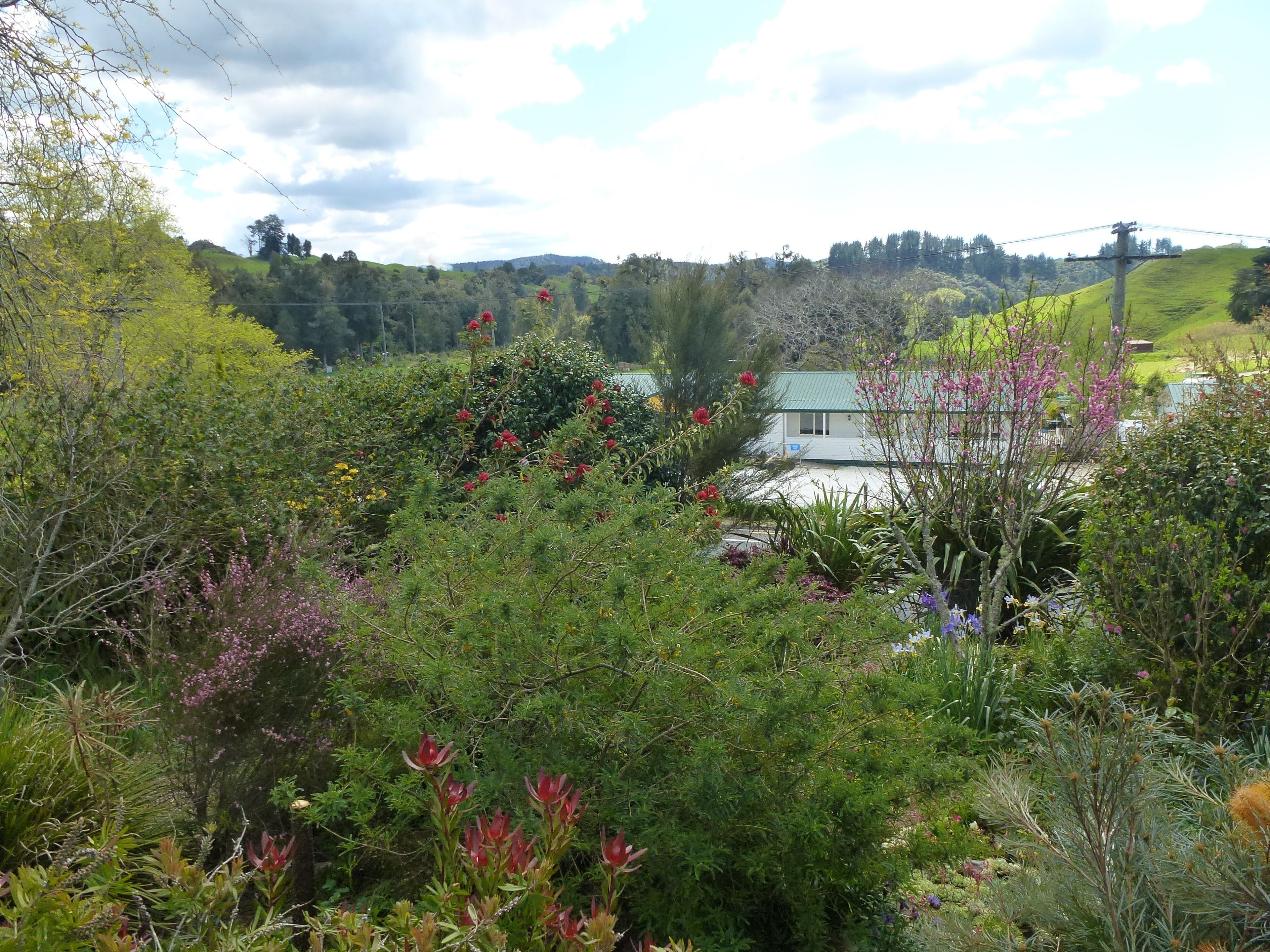 A lush garden with various plants and flowers, a white building with a green roof, and a hilly landscape in the background.