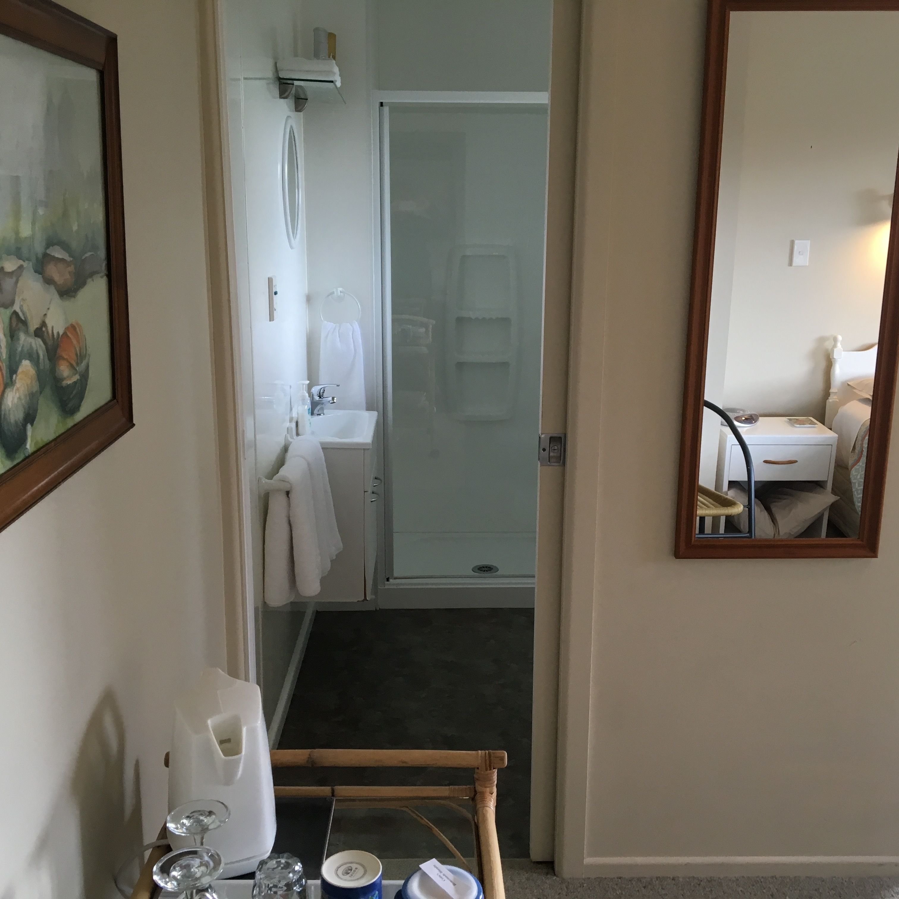 A bathroom with a shower, sink, and a mirror.