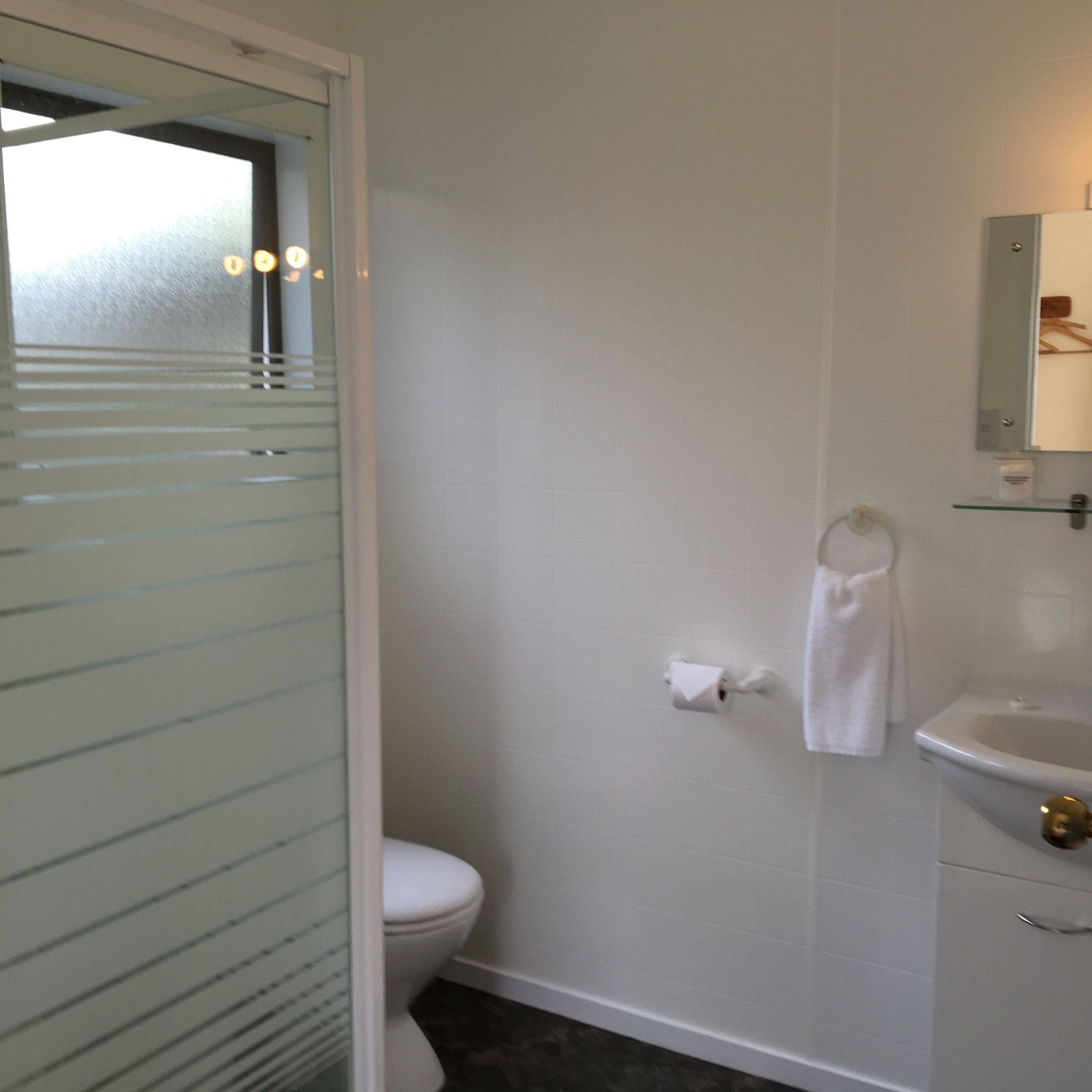 A bathroom with a toilet, a sink, and a mirror.