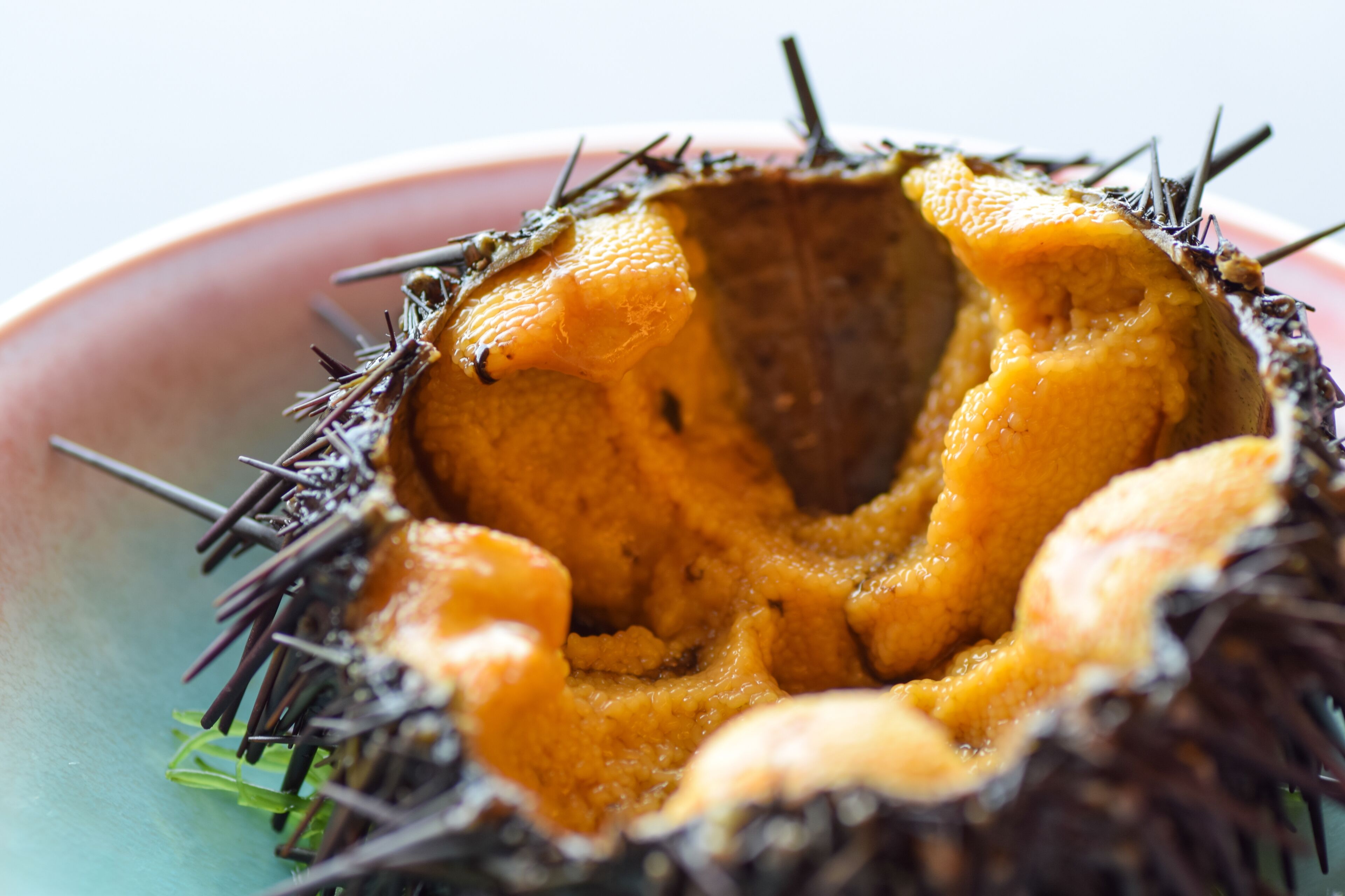 A close-up of a spiky, orange fruit with a hollow center, possibly a sea urchin, on a plate.