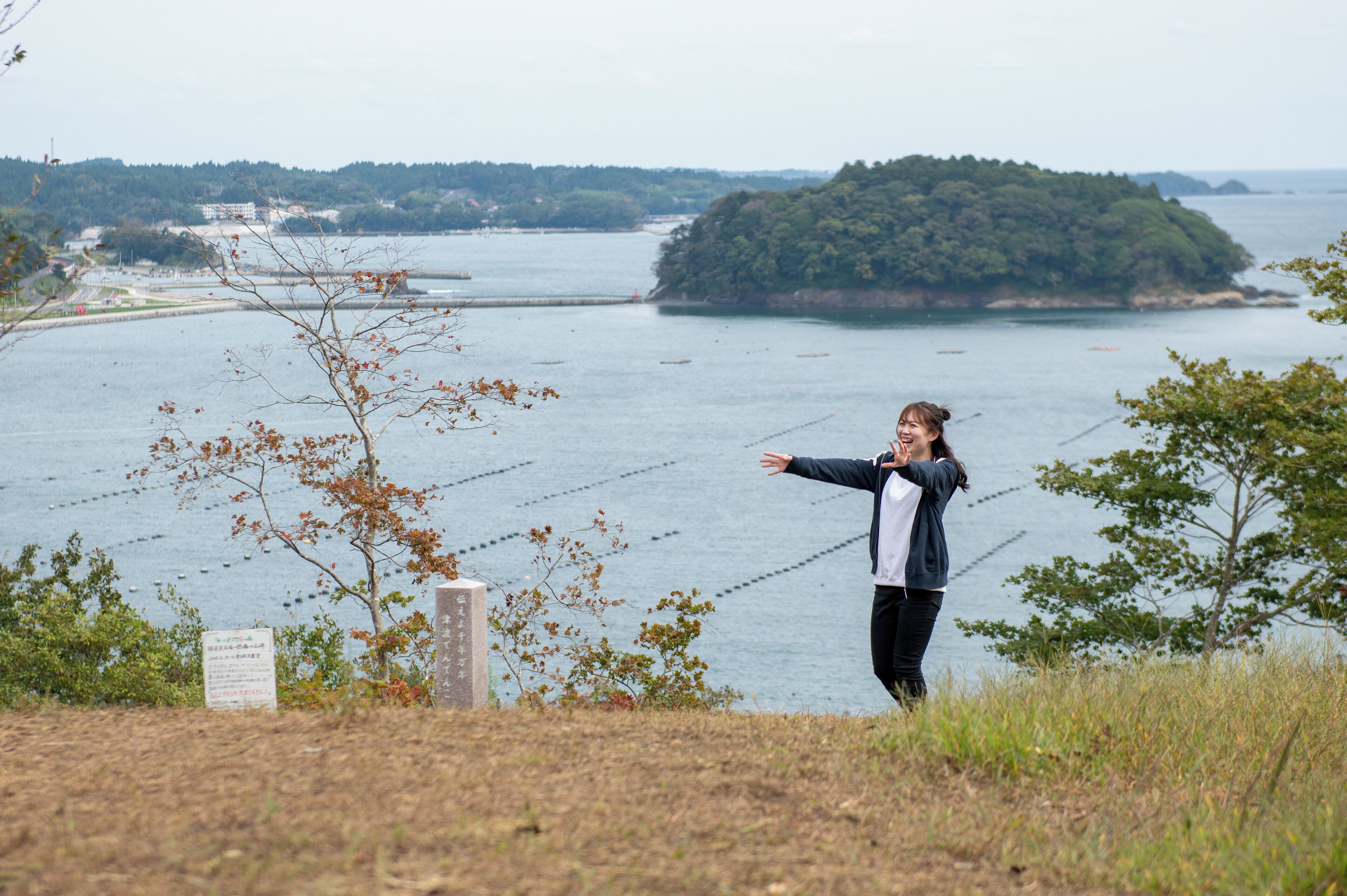 Une personne se tient sur une colline herbeuse, d’où elle a une vue sur une étendue d’eau, avec une île boisée à l’horizon.