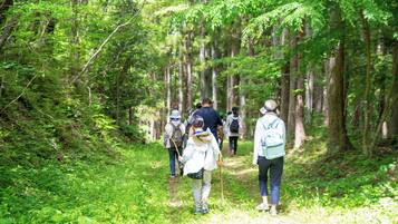 A forested path with people walking.