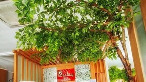 Ein Empfangsbereich mit einem Holztisch, einem Schild mit der Aufschrift 'Hotel' und einem Blumentopf.