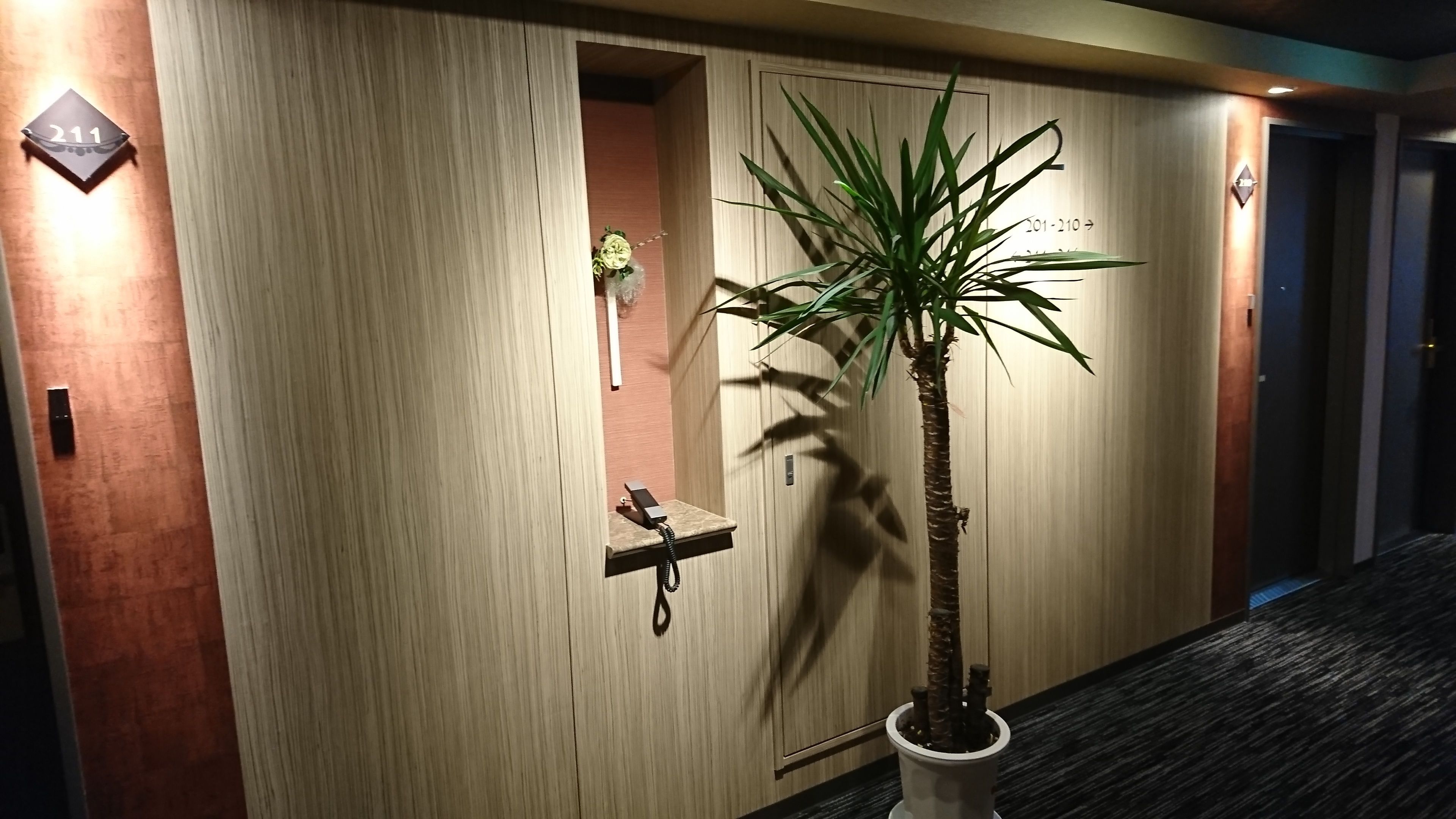 A wooden wall with a phone, a small plant, and a number sign.