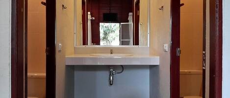A bathroom with a sink, mirror, and toilet.