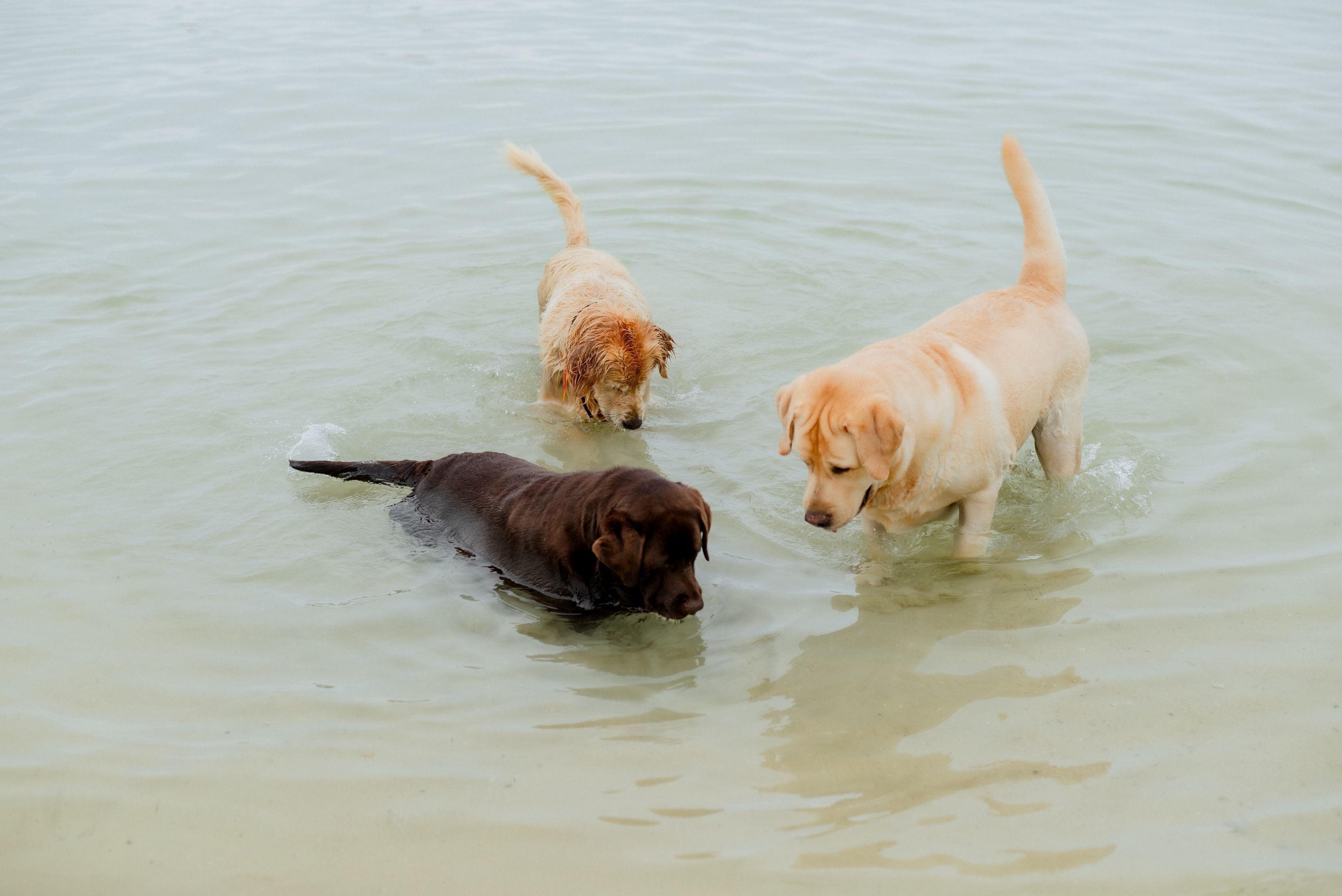 on the beach, beach towels