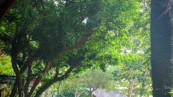 An outdoor seating area with wooden tables and chairs, surrounded by lush greenery and trees.