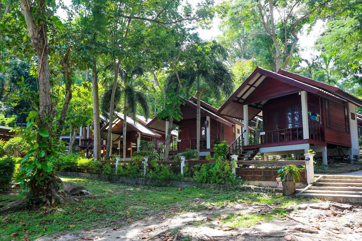 A row of wooden cabins surrounded by lush greenery and trees.