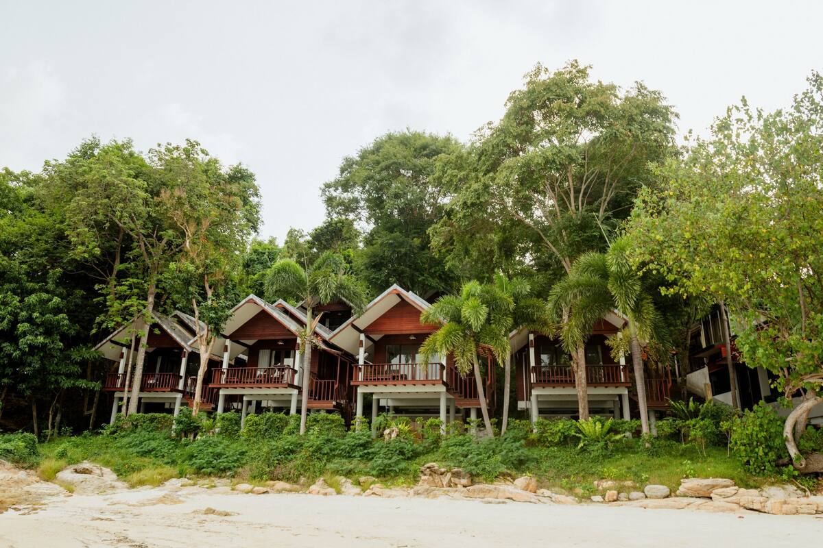 A row of wooden cabins with balconies, surrounded by lush greenery and trees.