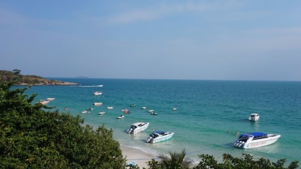 Eine Küstenlandschaft mit mehreren Booten auf ruhigem Wasser, einem Sandstrand und dichter Vegetation im Vordergrund.