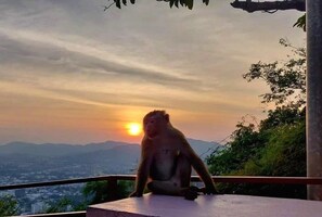 Phong cảnh nhìn từ nơi lưu trú