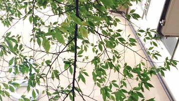 Una rama de árbol con hojas verdes que cuelga sobre un suelo de hormigón. Abajo, hay un cartel negro con letras blancas que dice "HÖTORGET HOTEL HOSTEL".