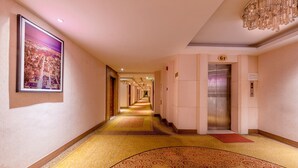 Un pasillo de hotel con alfombra estampada, un cartel con un paisaje urbano enmarcado, un ascensor y una araña.