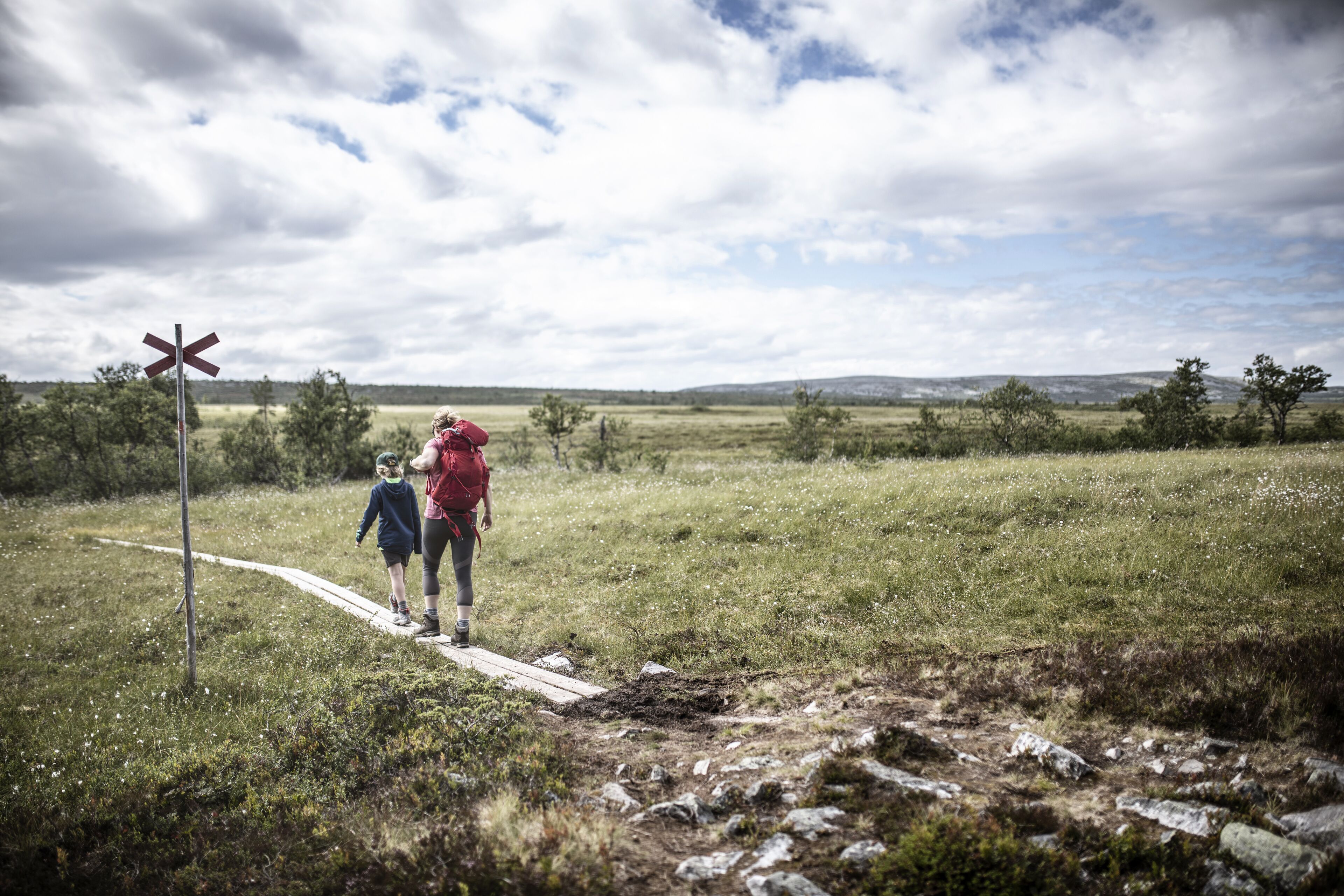 Un paysage rural avec un panneau indiquant un passage à niveau, un chemin de terre et un champ d’herbe.