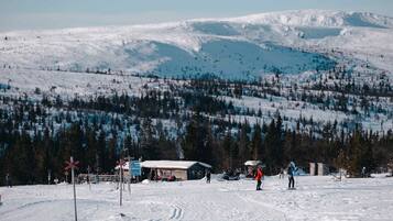 Et snøklædt skiområde med en hytte, skiløjper og et bjerg i baggrunden.