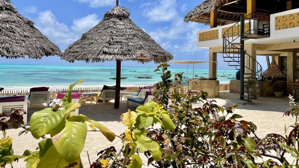 Un resort frente a la playa con sombrillas de paja, sillas de descanso y vista al océano.