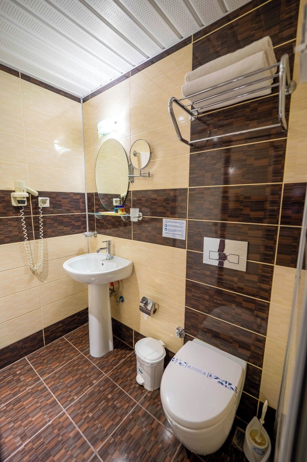 Ein Badezimmer mit Waschbecken, Spiegel, Handtuchhalter, Toilette und Duschbereich.
