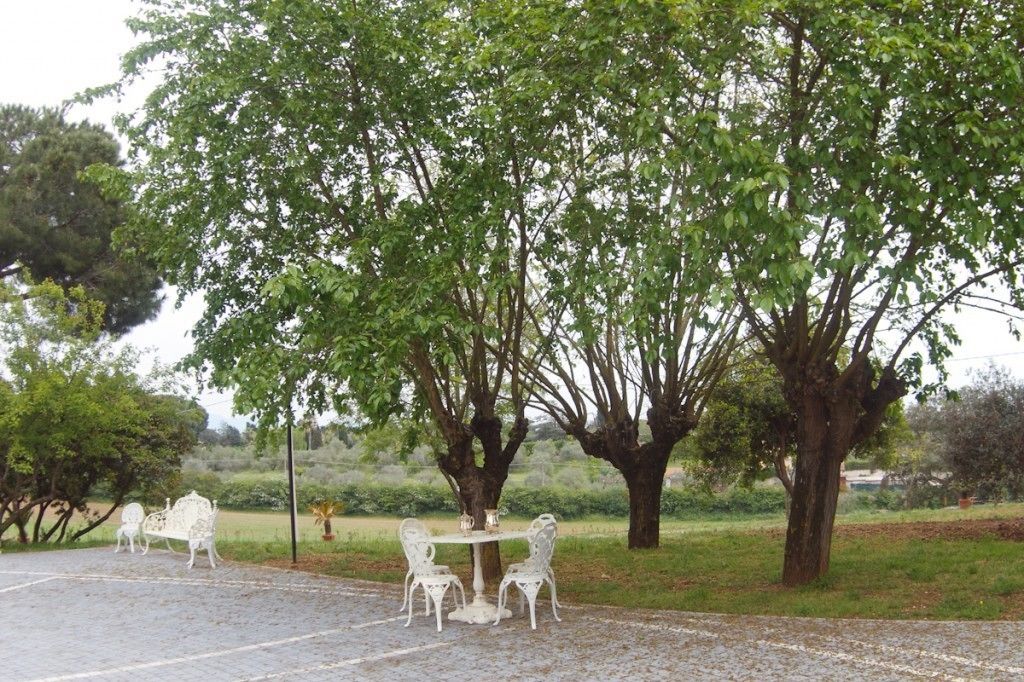 Un área de estar al aire libre con una mesa y sillas bajo un árbol grande.