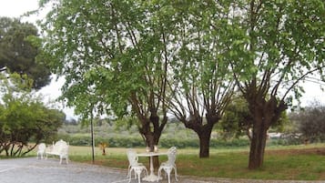 Un área de estar al aire libre con una mesa y sillas bajo un árbol grande.