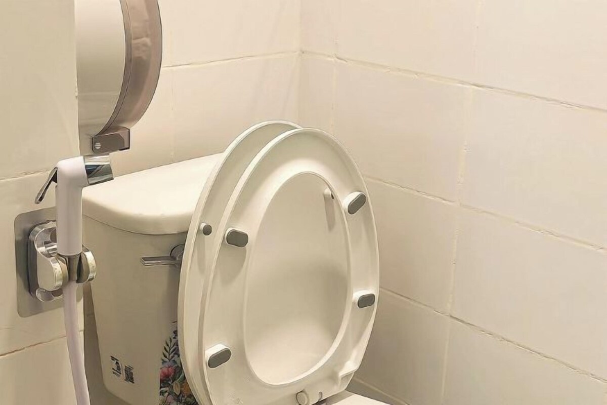 A toilet with a raised seat and a bidet attachment.