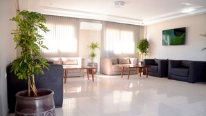 Een moderne woonkamer met een grote kamerplant, twee banken, een salontafel en een flatscreen televisie aan de muur.