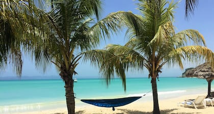 Abaka Bay Resort