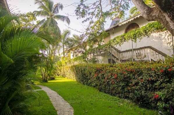 Garden - Pro Cab Cabarete (Cabarete)